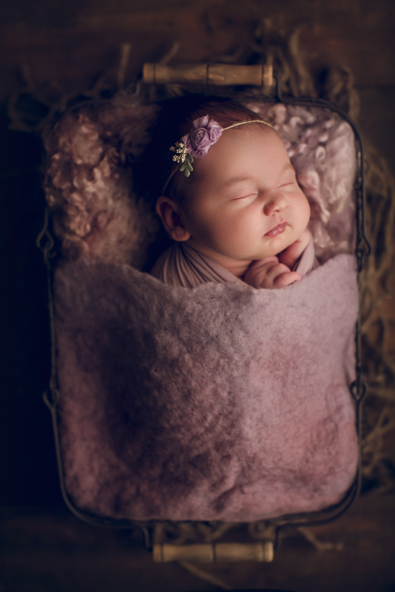 Adelaide Newborn photographer photo of a newborn baby.