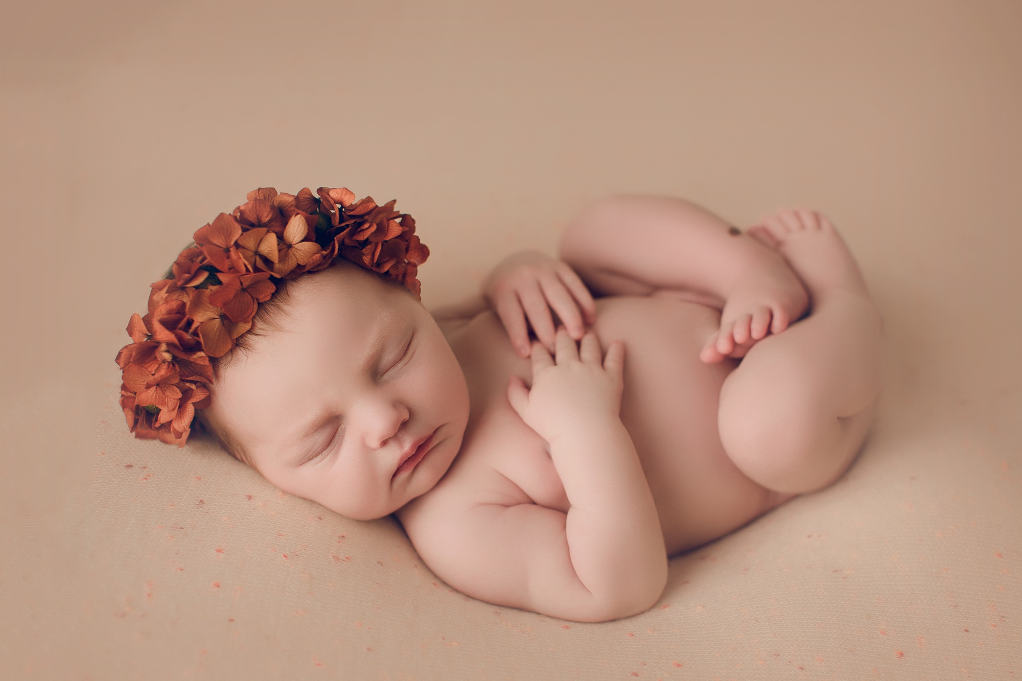 Adelaide newborn photography photo of a newborn baby.