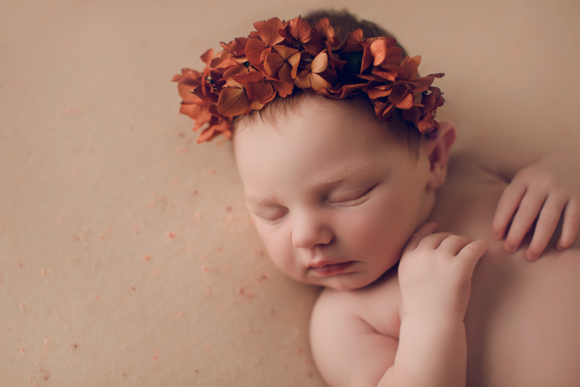 Adelaide newborn photography photo of a newborn baby.