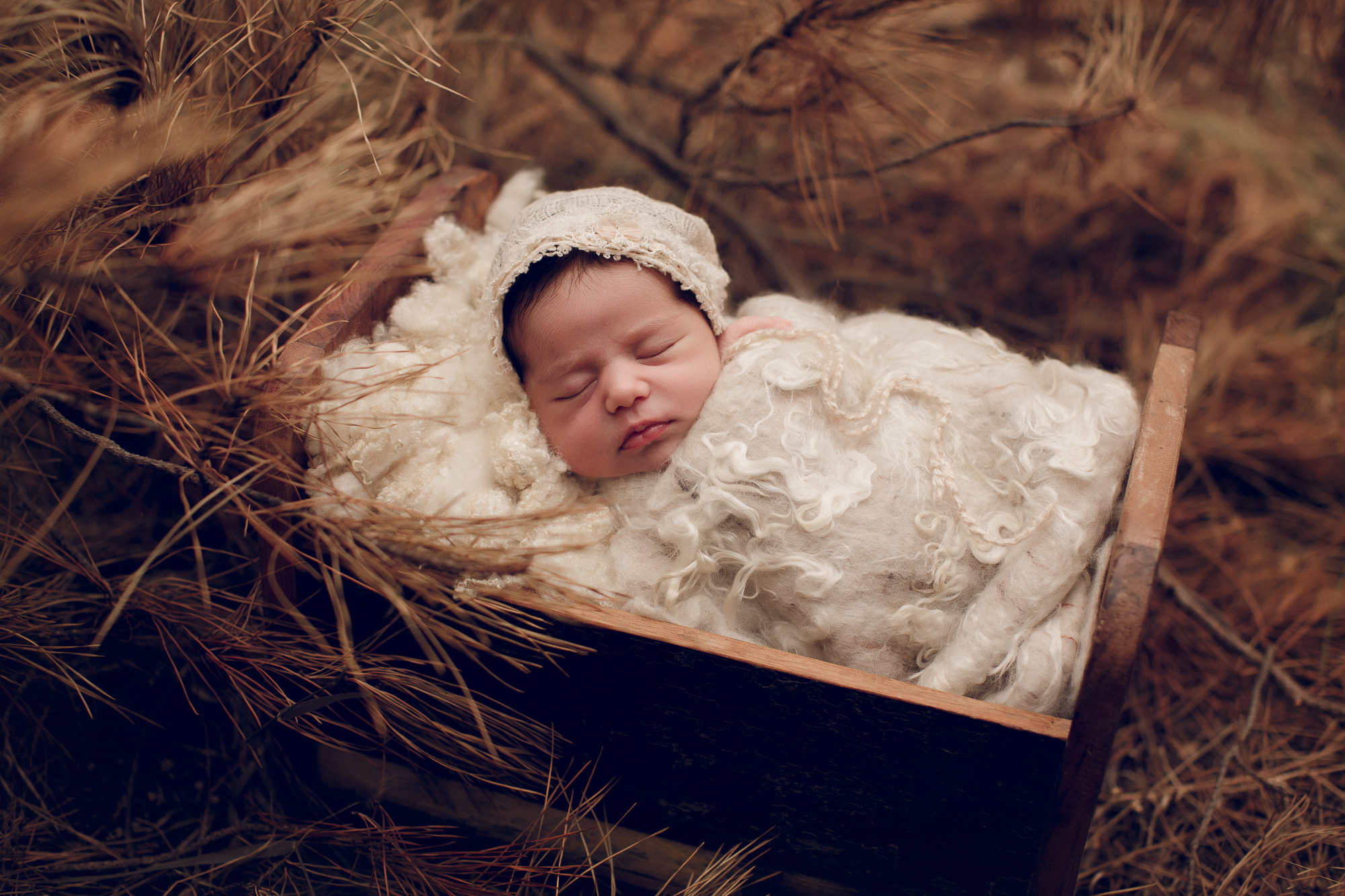 Adelaide Newborn photographer photo of a newborn baby.