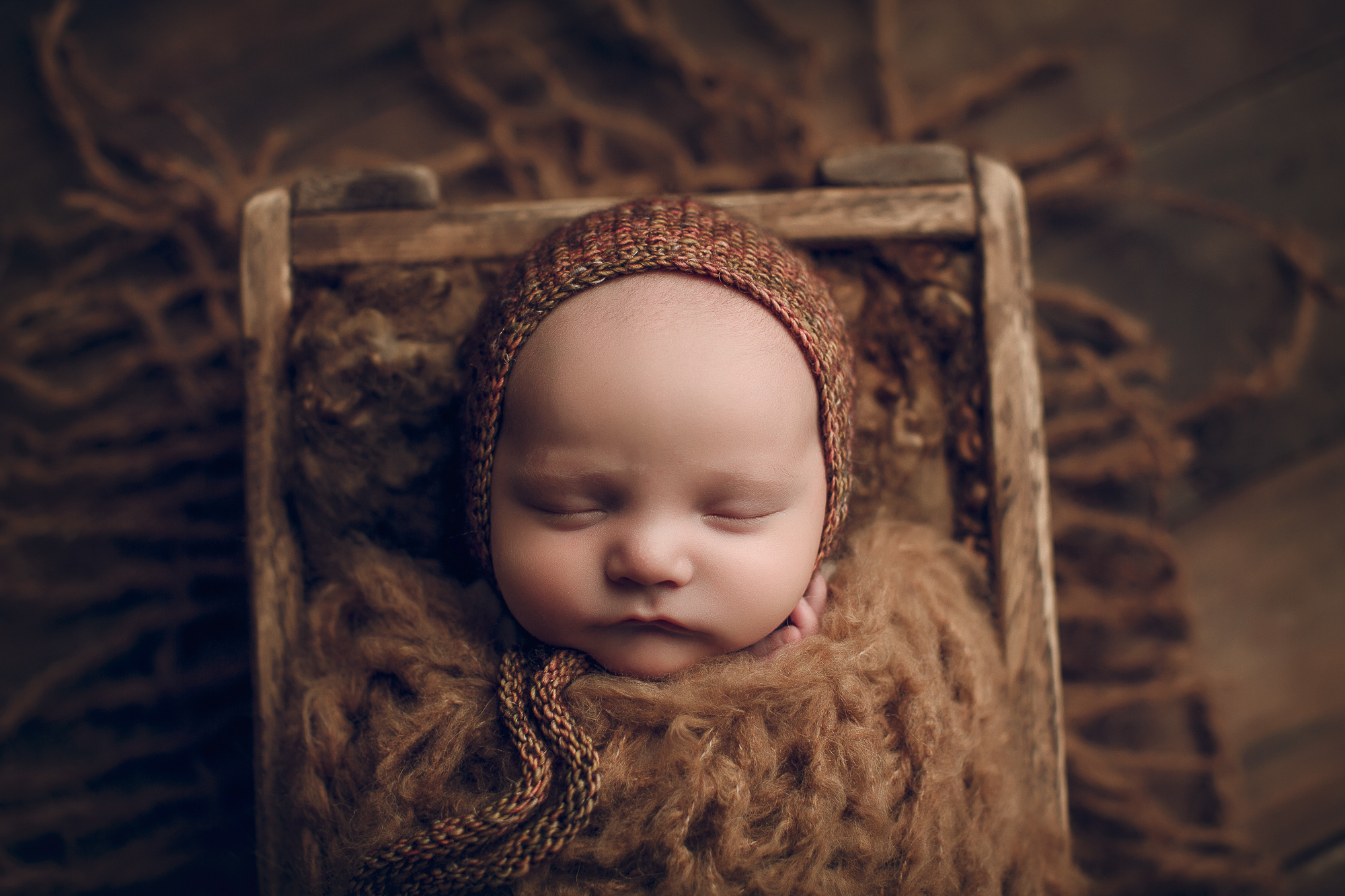 Adelaide Newborn photography photo of a newborn baby in a crate.