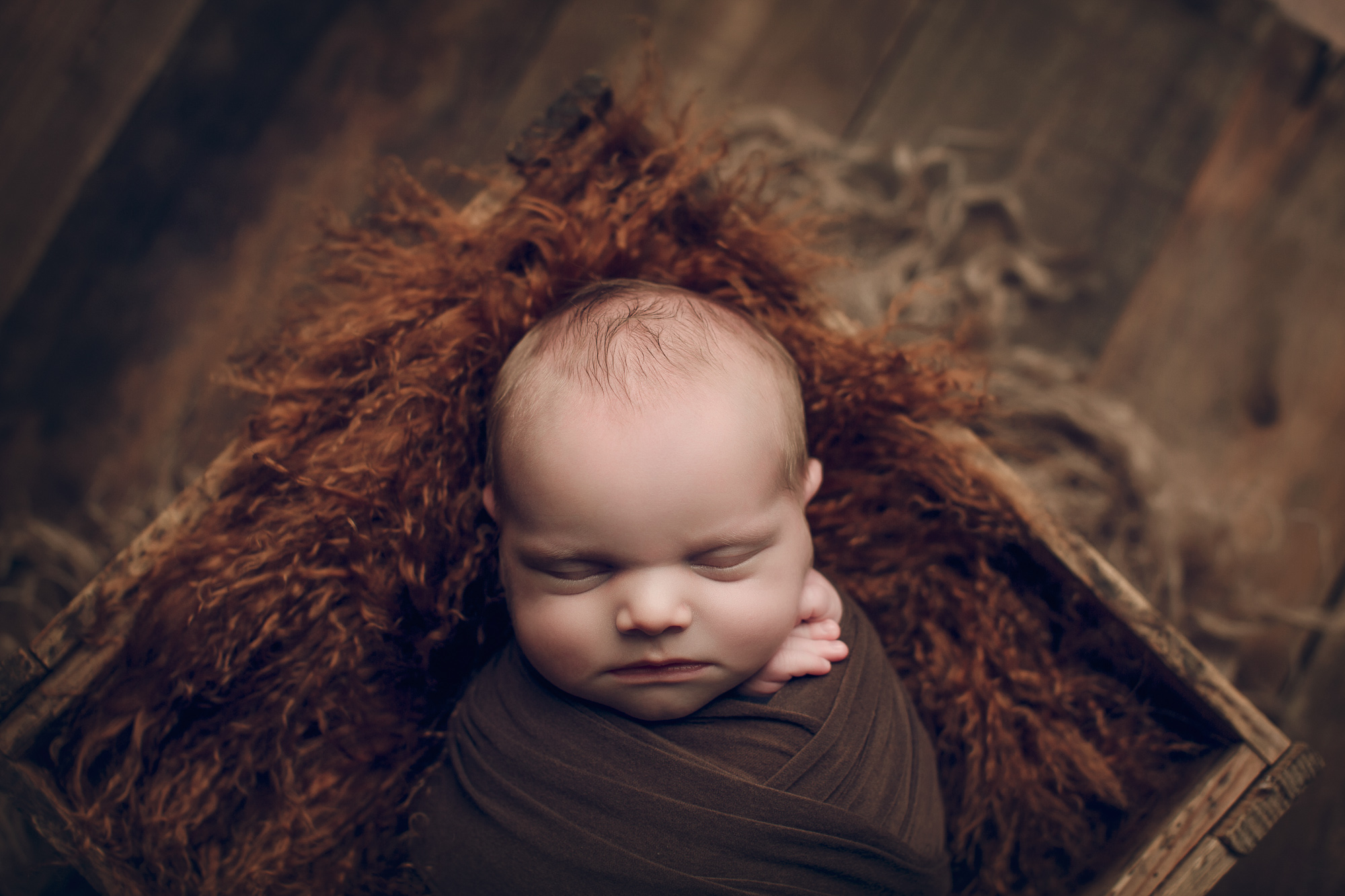 Adelaide Newborn photography photo of a newborn baby boy.