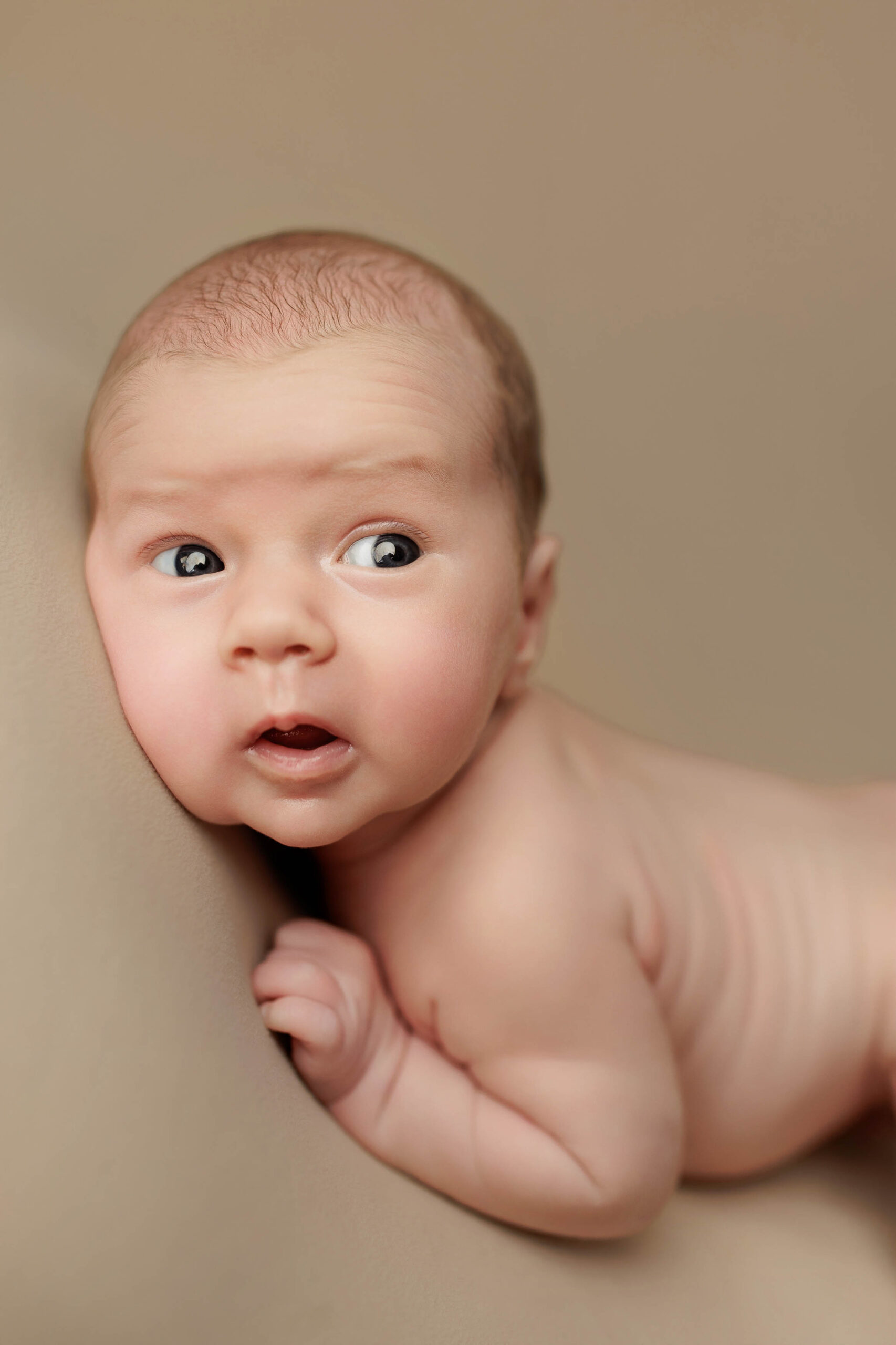 An awake Adelaide baby is looking at the camera.