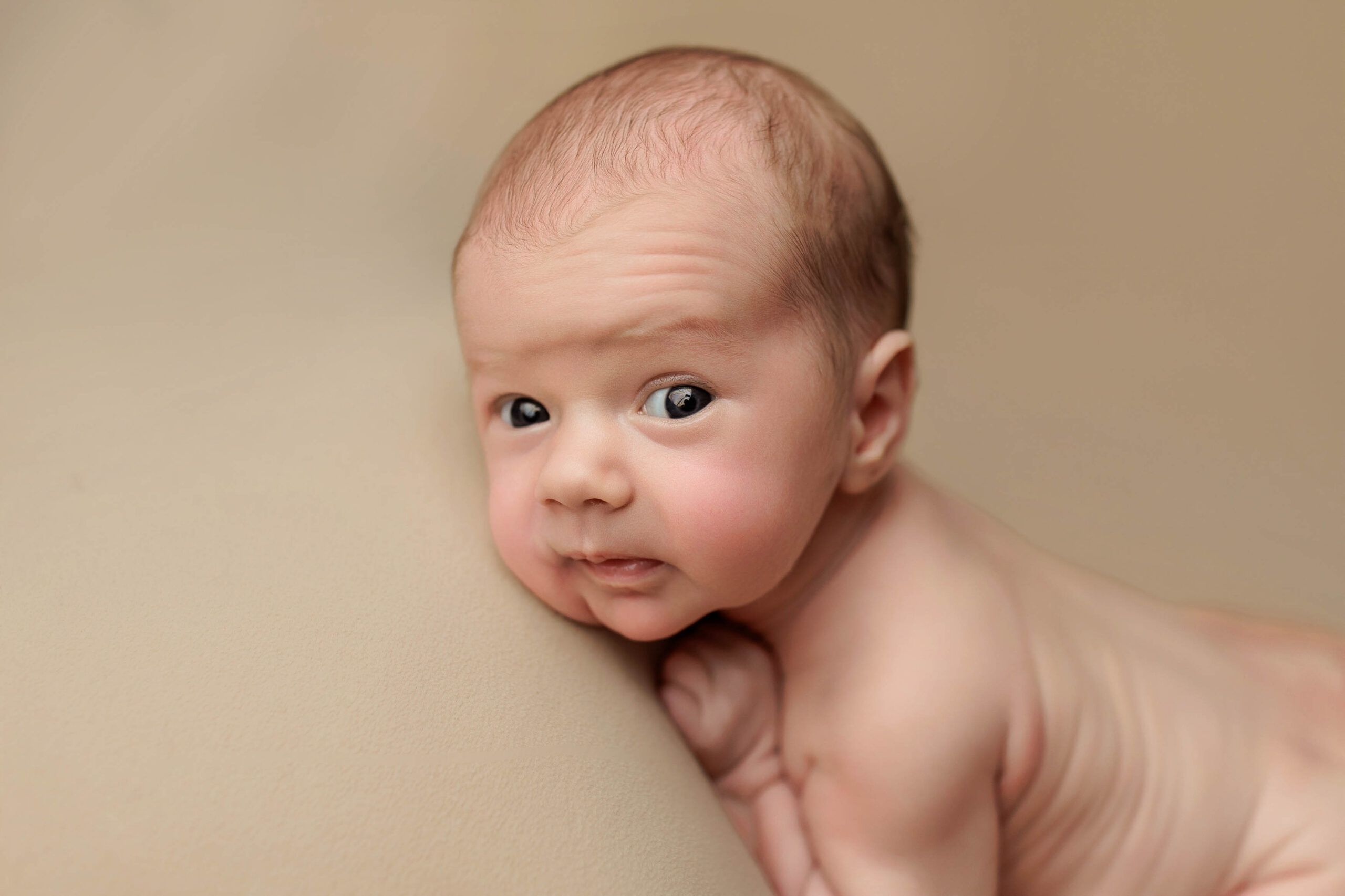 An awake Adelaide baby laying on a beige background is looking at the camera