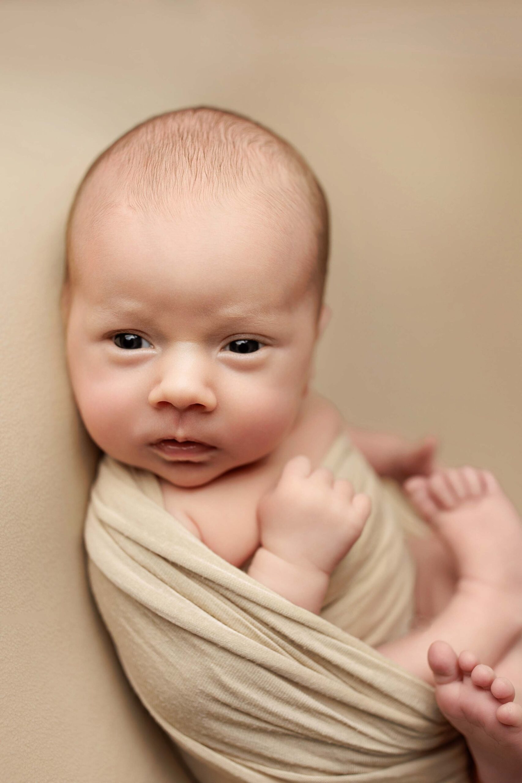 An awake Adelaide baby wrapped in a beige wrap laying on a beige background is looking at the camera.