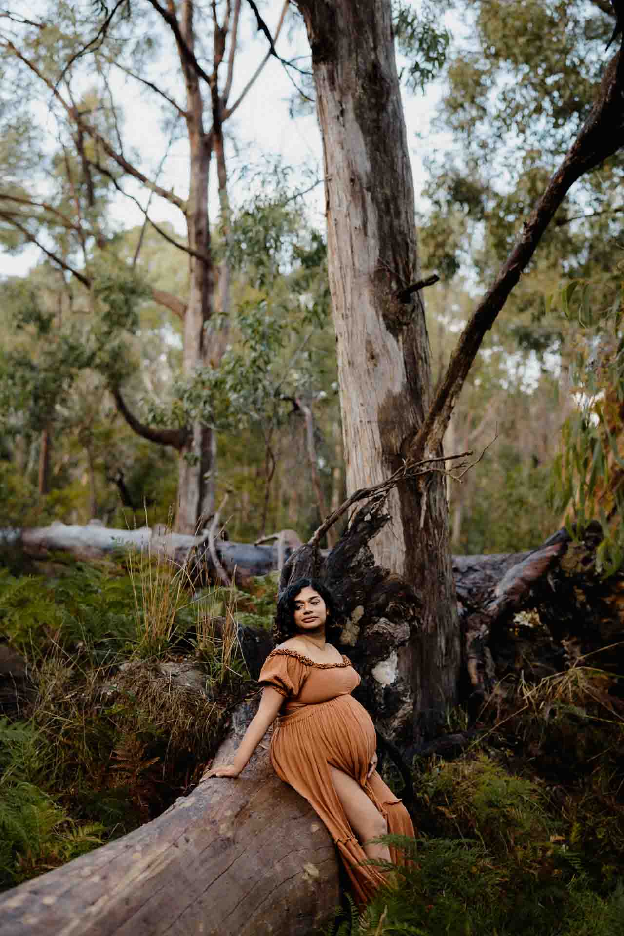 A pregnant mother wearing a rust dress sitting on a fallen tree at a maternity session in the Adelaide Hills.